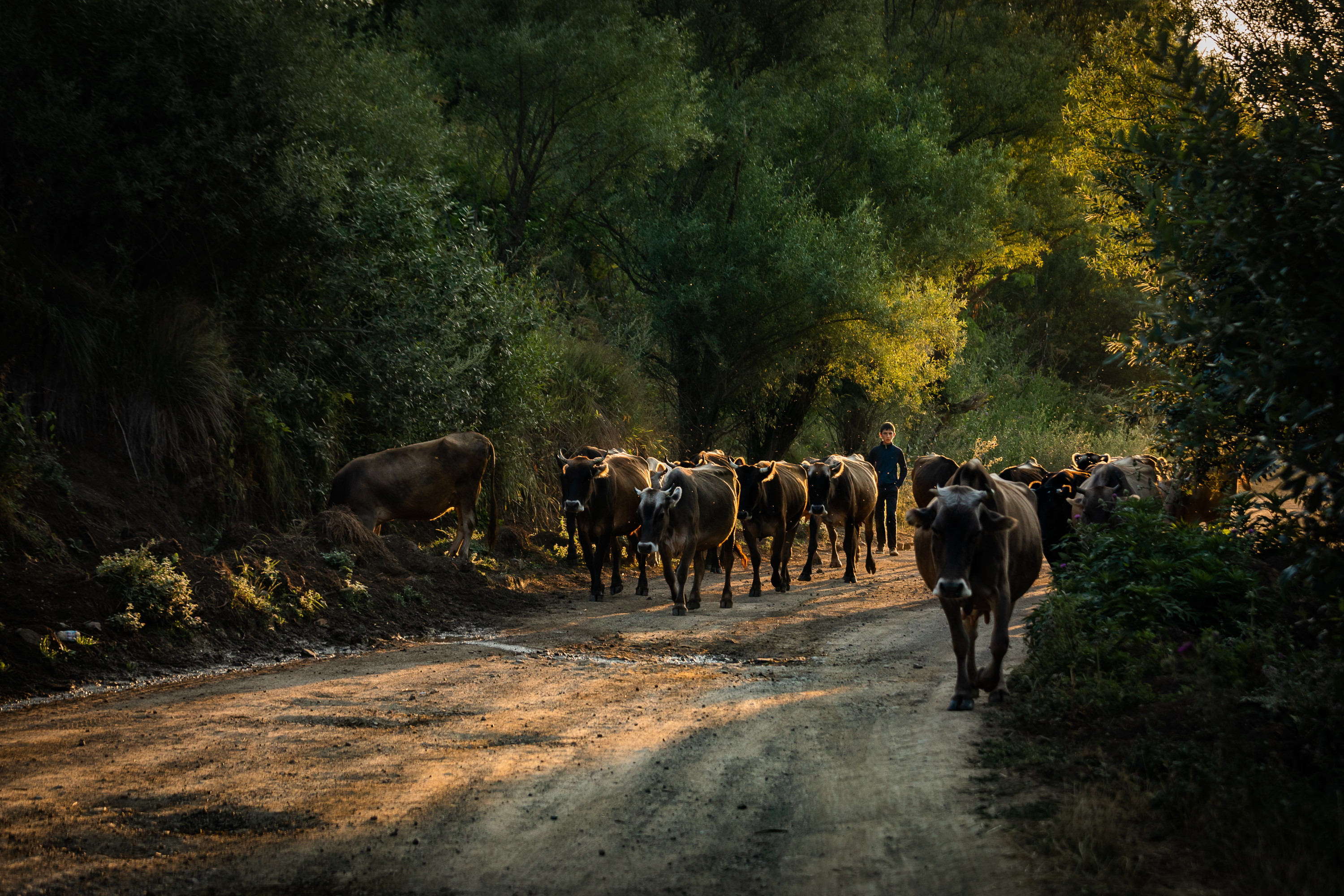 Fotóskaland Örményországban