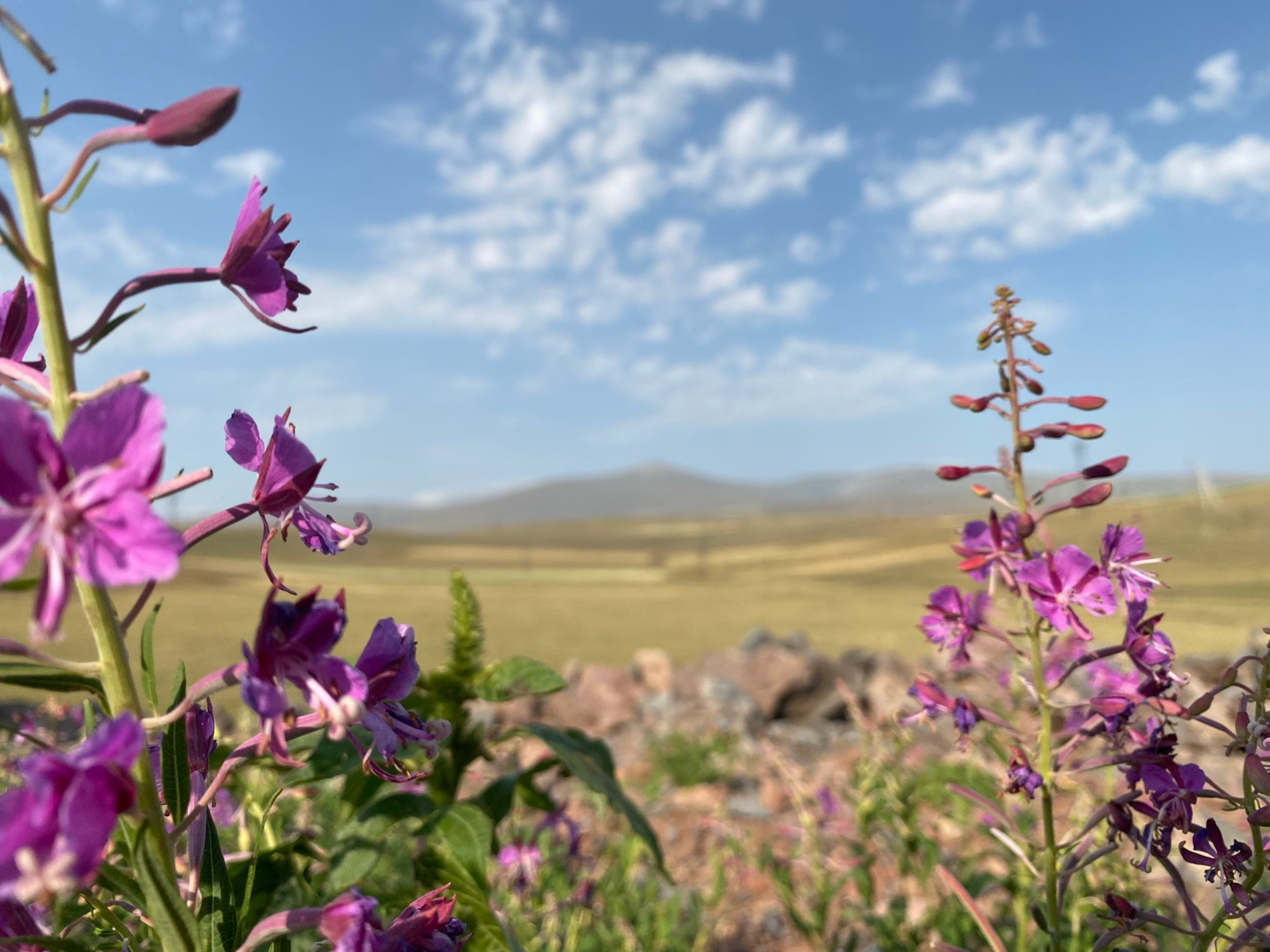 Tavaszi fotóskaland Örményországban